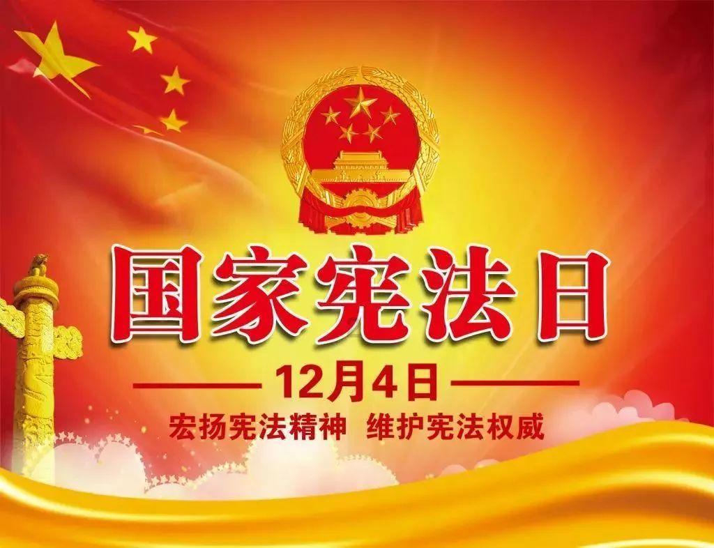 疯狂的小猫